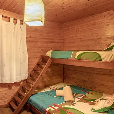 Magic Robin Hood 4* البير