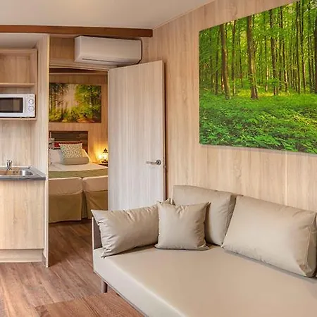 Magic Robin Hood البير