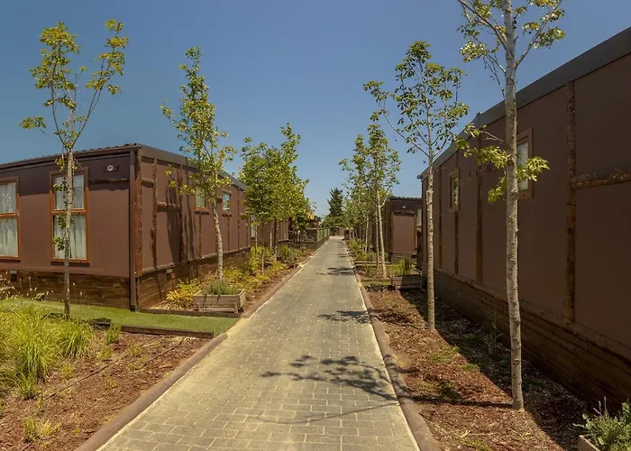 Magic Robin Hood Resort