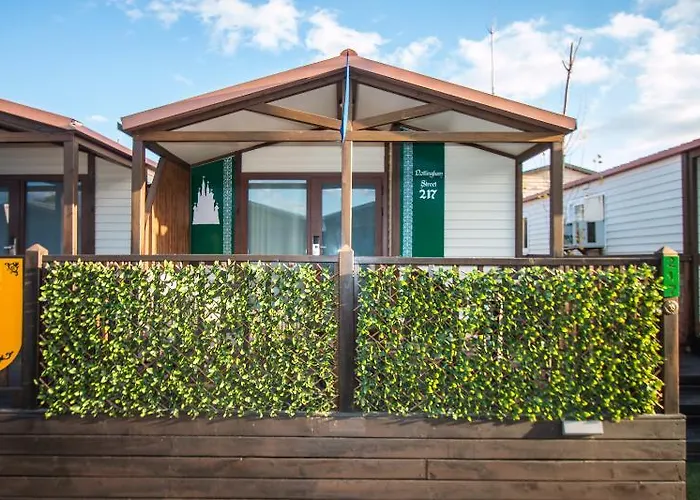 Magic Robin Hood El Albir